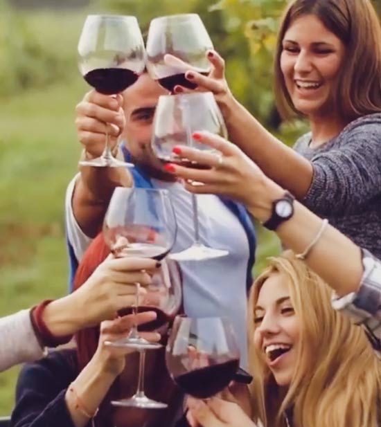 Wine Tour